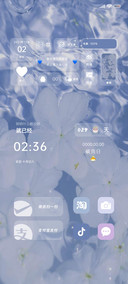 透明小组件 回溯