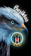 BESIKTAS BJK SPOR 1903