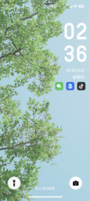 春意浓