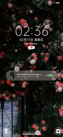 玫瑰到了花期