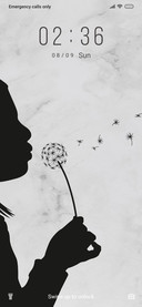 Dandelions - B&amp;W_3MDS
