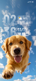 景深OS快乐金毛
