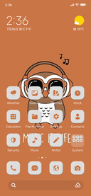 Music Lover