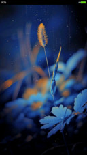 Eve Light