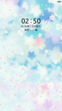 小清新2号