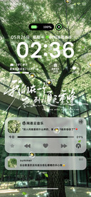 仲夏 尚绿之境