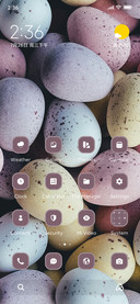 Mini Egg