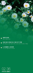 白色花语
