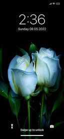 Rose view