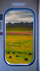 Scenery outside the train on the plateau