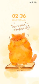 Weight loss cat