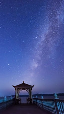 VCG41N660390776