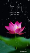 荷花下雨动态