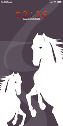 horse_DWM2