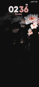 Petaled Flower