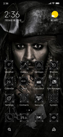 Sparrow IZ V13