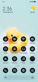 The Bathing Duck