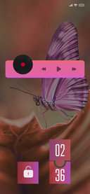 ButterFly3