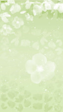 小琢之栀子花开