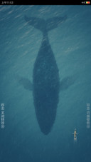 蓝色海洋