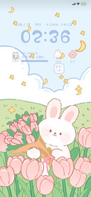 郁金香兔兔