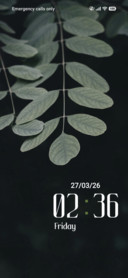 Grey Leaf