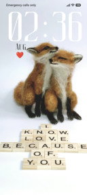 Fox Couple