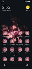 Pink Flower