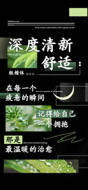 深度清新舒适粗楷体