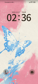 Dream+Butterfly