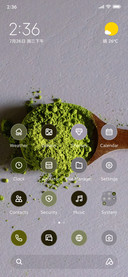 Matcha Muse