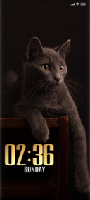 dark cat