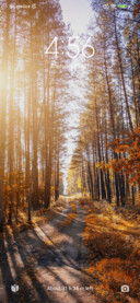Sunset tree