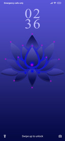 Lotus_DWM20