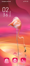 Flamingo_3MDP