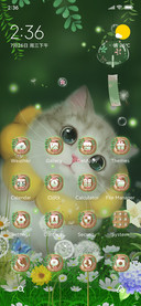 A kitten that meow