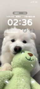 小狗的世界只有你