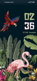 Jungle animal
