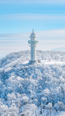 Winter rime