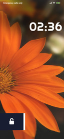 FLOWER_STIW_REGULAR