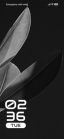 Dark Leaves