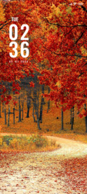 Red Leaves