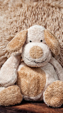toy (3)