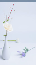 花想容