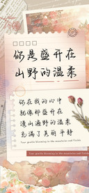你是盛开山野的温柔