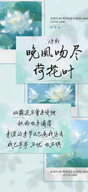 晚風吻尽荷花叶手书