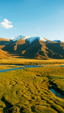 The texture of bayanbulak grassland
