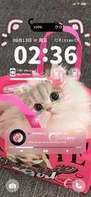 ins风 超甜小猫
