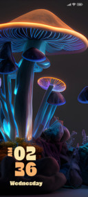 Fungi Dream