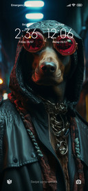 hacker dog